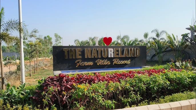 Natureland YogChetna Natural View